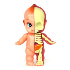 4D MATSER XXRAY Figure Classic Baby SY291409, 1個