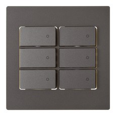 CHEIL ELECTRIC Dino 暗銀色 6開關, 1個