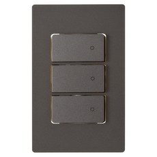 CHEIL ELECTRIC Dino 暗銀色三開關, 1個