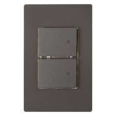 CHEIL ELECTRIC 雙開關面板 深灰色, 1個