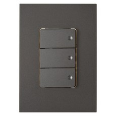 CHEIL ELECTRIC Harness 深銀色 3開開關, 1個