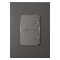 CHEIL ELECTRIC 雙開關面板 深灰色, 1個