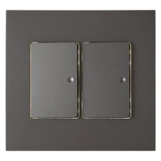 CHEIL ELECTRIC Harness 深銀色 中型2聯開關, 1個