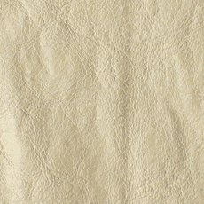 時尚亮點PU莫希干布料, 孩子