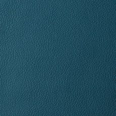 時尚點椰子皮革, 05號