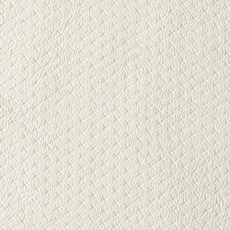 時尚亮點PU蘋果王布料, 孩子