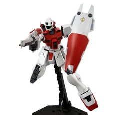BANDAI 萬代 限量版1/100模型, 1個