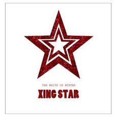 VARIOUS - XING STAR THE WHITE OF WINTER, 1CD