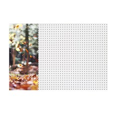 떨어지는낙엽 인테리어 타공판 60x90cm 좌WHITE, 1개, 혼합색상