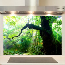 샤이니아트 렉스데코 주방아트보드 아침인사, 1개