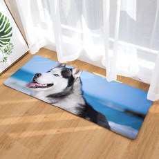 슈퍼식스 동물 강아지 시리즈 물 흡수 바닥 매트, 23