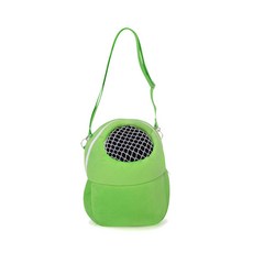 펫나인 소형 반려동물 휴대용 이동가방 중형, 그린, 1개