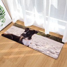슈퍼식스 생동감있는 동물 강아지 시리즈 물 흡수 바닥 매트, 16
