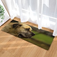 슈퍼식스 생동감있는 동물 강아지 시리즈 물 흡수 바닥 매트, 3