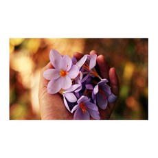 유브이디에스 아트보드 두손 가득 담긴 사랑, 1개