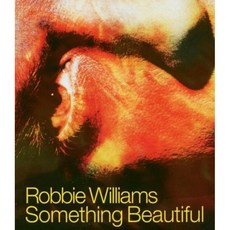 ROBBIE WILLIAMS - SOMETHING BEAUTIFUL 유럽수입반, 1CD