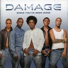 DAMAGE - SINCE YOU'VE BEEN GONE EU수입반, 1CD