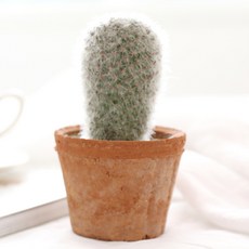 Happy Village 室內裝飾用人造積木仙人掌, B型, 1個