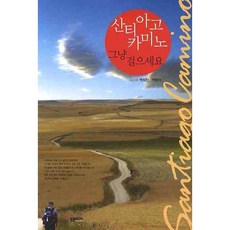 산티아고 카미노 그냥 걸으세요, 동광미디어, 백정완,백형석 공저