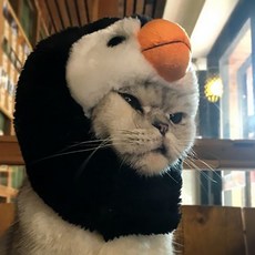 댕댕이주식회사 반려동물 귀요미 동물 털모자, 펭귄, 1개