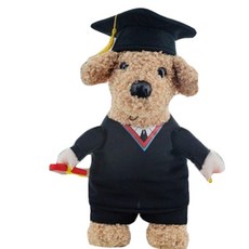 狗狗小狗貓咪COSPLAY玩偶衣服, 學士