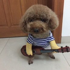 狗狗小狗貓咪COSPLAY玩偶衣服, 吉他手