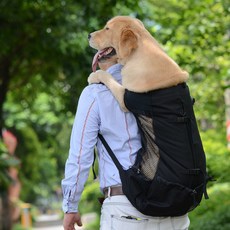 까망코 망사배낭 반려견 이동가방, 블랙, 1개
