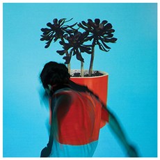 LOCAL NATIVES - SUNLIT YOUTH DIGIPACK 영국수입반, 1CD