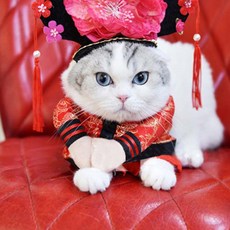 狗狗小狗貓咪COSPLAY玩偶衣服, 紅旗袍