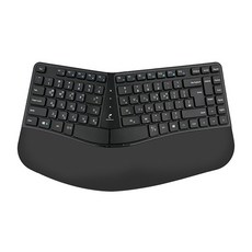 PLEOMAX club 人體工學有線鍵盤, 黑色, PEK-N1000, PLEOMAX 有線人體工學鍵盤 PEK-N1000 (黑色)