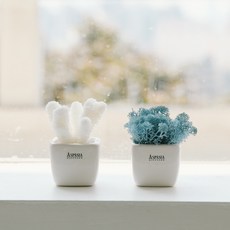 ASPASIA Meffler 雙珊瑚+苔蘚花盆套組, 薰衣草藍