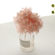 河綠繡球花瓶套組, 可愛的粉紅色