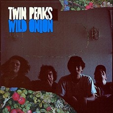 TWIN PEAKS - WILD ONION DIGIPACK 유럽수입반, 1CD