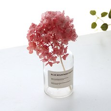 리버그린 수국 프라저브드 화병세트, 핑크