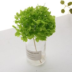 리버그린 수국 프라저브드 화병세트, 그린