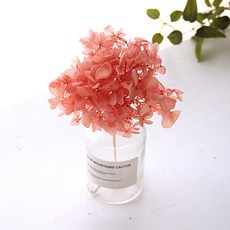 리버그린 수국 프라저브드 화병세트, 피치