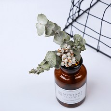 河綠乾花棕色花瓶套組, 水果