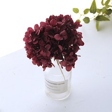 리버그린 수국 프라저브드 화병세트, 버건디