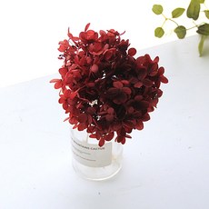 리버그린 수국 프라저브드 화병세트, 브라운