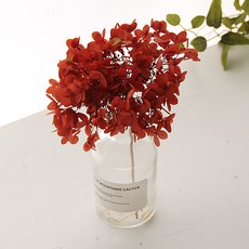 리버그린 수국 프라저브드 화병세트, 오덤리프