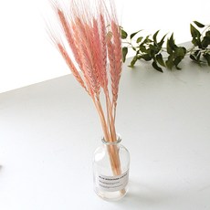 River Green乾燥麥子花瓶組, 粉色的