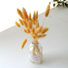 River Green室內用Ragras乾燥花花瓶組, 黃色的