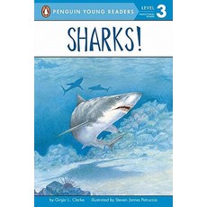 Sharks!: All Aboard Science Reader Station Stop 2 Paperback, Penguin Young Readers Group