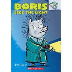 Boris Sees the Light Paperback, Branches