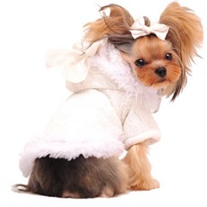 ZEZEPET 蕾絲絲帶連帽狗 T恤, Y126PDFC013