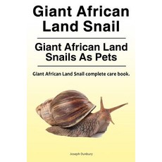 Giant African Land Snail. Giant African Land Snails as Pets. Giant African Land Snail Complete Care, Aav Publishing Giant African Land Snail