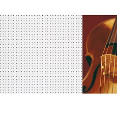 바이올린P 우 WHITE 인테리어 타공판 60 x 90 cm, 1개, 혼합색상