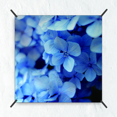 삼육오데이 패브릭포스터 태피스트리 푸른수국, 혼합 색상