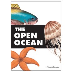 The Open Ocean Hardcover, Chronicle Books (CA)