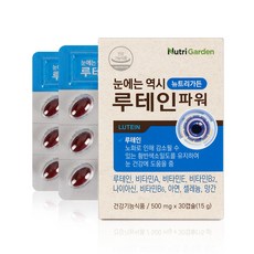 뉴트리가든 눈에는 역시 루테인 파워, 1개, 15g